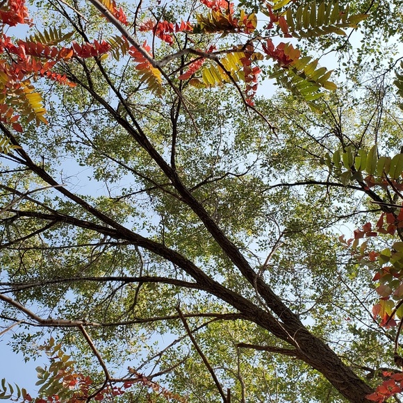 Meet your Posher, Navreen - Picture 1 of 1